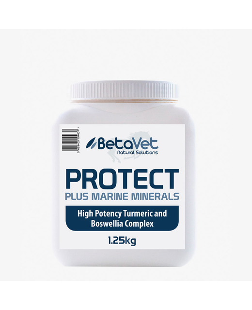 Beta Vet Protect Powder 