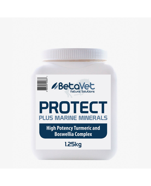 Beta Vet Protect Powder 