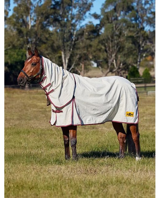 Saxon Kool Coat Cotton Summer Sheet Combo