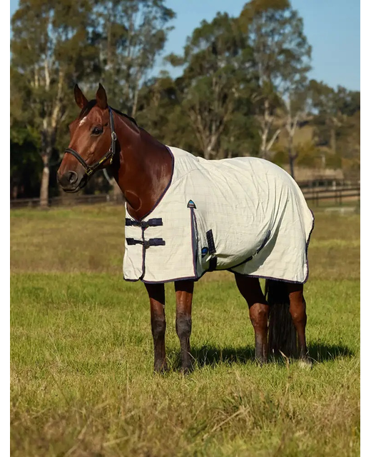 NEW WeatherBeeta Cotton Summer Standard Rug