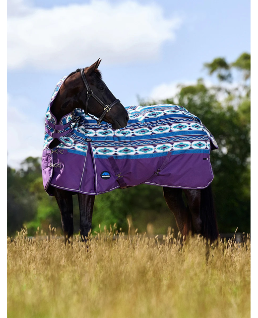 Weatherbeeta Comfitec Essential Turnout Combo 50gm