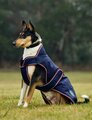 Weatherbeeta Comfitec Premier Deluxe Waterproof Dog Coat