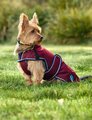 Weatherbeeta Comfitec Premier Deluxe Waterproof Dog Coat