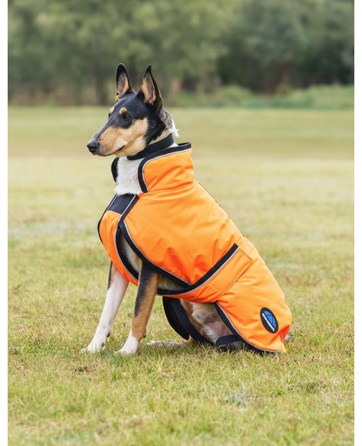 Weatherbeeta Comfitec Reflective 300D Deluxe Waterproof Dog Coat