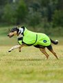 Weatherbeeta Comfitec Reflective 300D Deluxe Waterproof Dog Coat