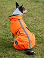 Weatherbeeta Comfitec Reflective 300D Deluxe Waterproof Dog Coat