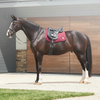 Weatherbeeta SoftShell All Purpose Saddle Pad
