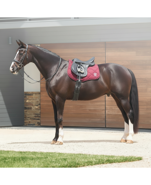Weatherbeeta SoftShell All Purpose Saddle Pad