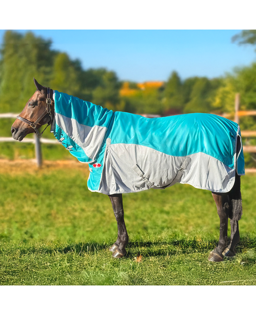 Guardian Hybrid Combo