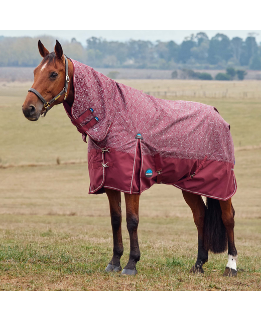 Weatherbeeta ComfiTec Limited Edition Medium Combo