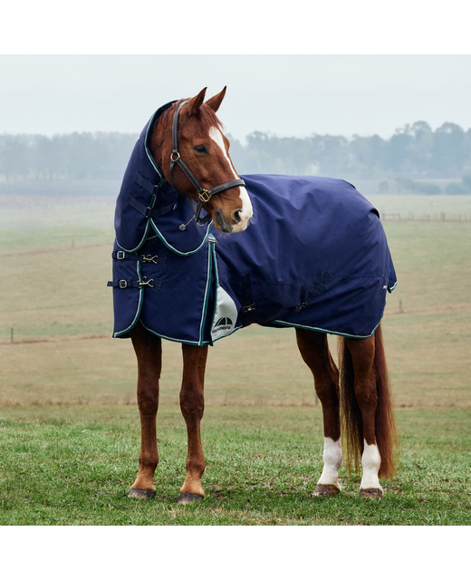 Weatherbeeta Comfitec Plus Dynamic Detach A Neck 220gm