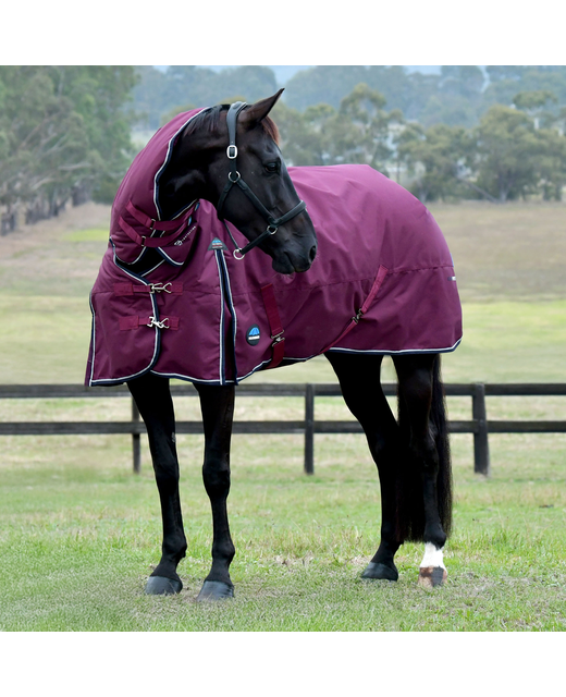 Weatherbeeta ConFiTec Essential 360gm Combo