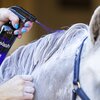 NTR EziWash Purple Haze Shampoo Concentrate 500ml