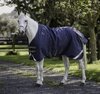 Cavallino Gen4 Detach A Neck  50gram 