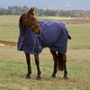 Weatherbeeta Comfitec Prelim Combo 100gram