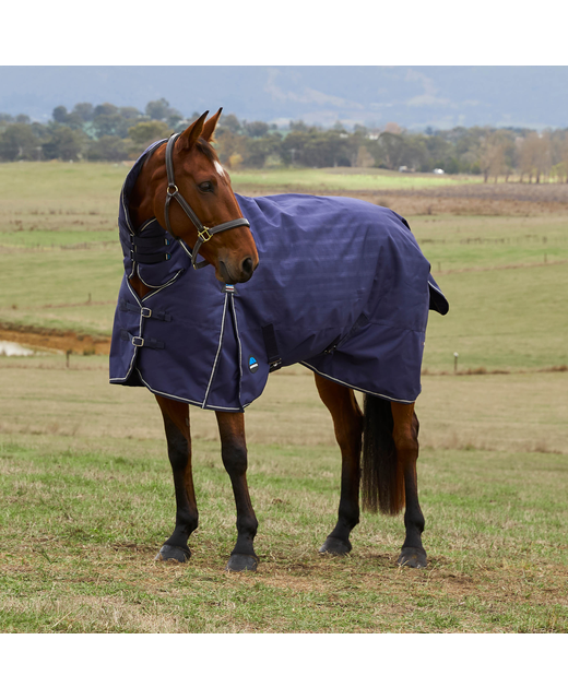 Weatherbeeta Comfitec Prelim Combo 100gram