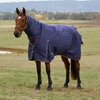 Weatherbeeta Comfitec Prelim Combo 100gram