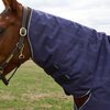 Weatherbeeta Comfitec Prelim Combo 100gram