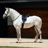 Weatherbeeta Softshell Pro 3D Air-Tec Dressage Pad