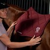 Weatherbeeta Softshell Pro 3D Air-Tec Dressage Pad