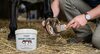 Premium Hoof Cream 
