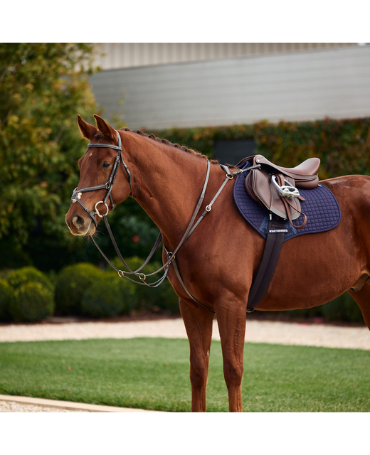Dublin 3-Point Breastplate