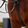 Dublin 3-Point Breastplate