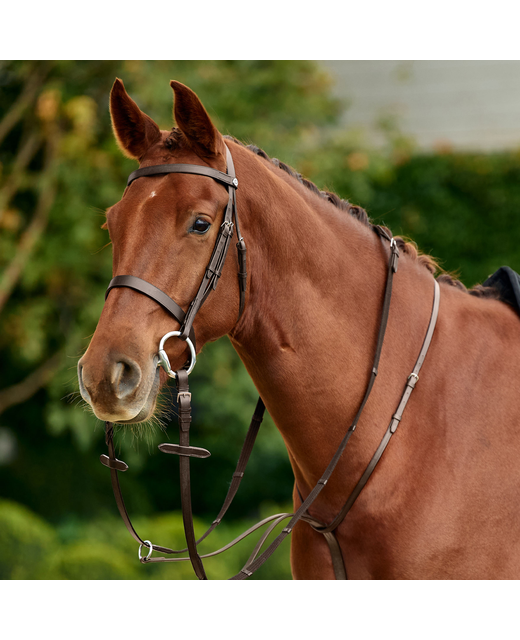 Dublin Running Martingale