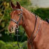 Dublin Running Martingale