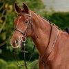 Dublin Running Martingale