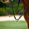 Dublin Running Martingale
