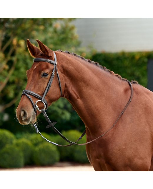 Dublin Flash Bridle