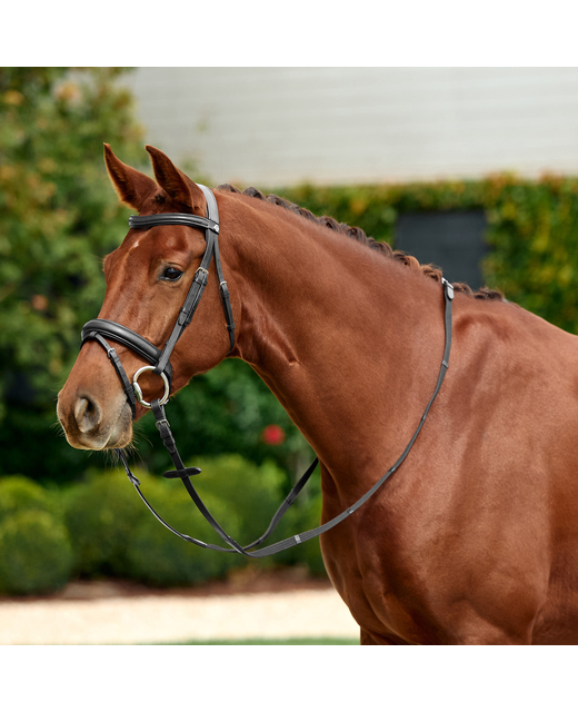 Dublin Padded Flash Bridle