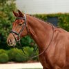 Dublin Padded Flash Bridle