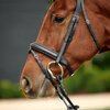 Dublin Padded Flash Bridle