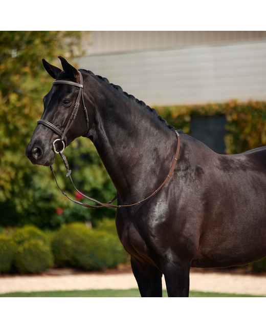 Dublin Padded Cavesson Bridle