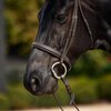 Dublin Padded Cavesson Bridle