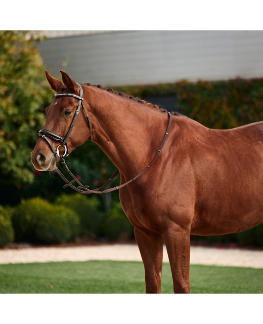 Dublin Patent Bridle
