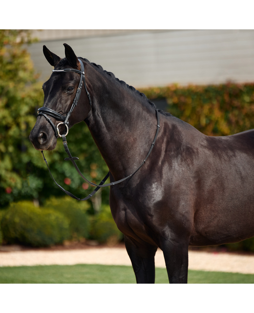 Dublin Padded Patent Flash Bridle