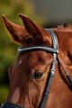 Dublin Patent Bridle