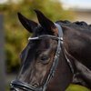 Dublin Padded Patent Flash Bridle