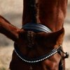 Dublin Patent Bridle