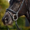 Dublin Padded Patent Flash Bridle