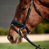 Dublin Patent Bridle
