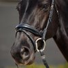 Dublin Padded Patent Flash Bridle