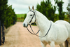 Dublin Brass Barcoo Bridle