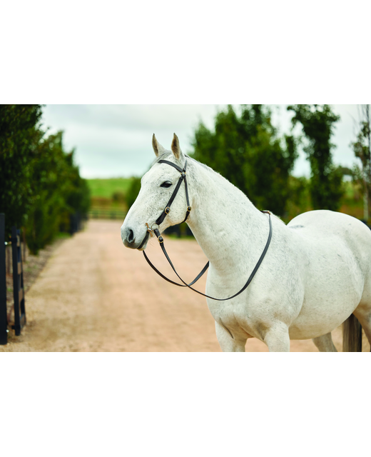 Dublin Brass Barcoo Bridle