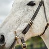 Dublin Brass Barcoo Bridle