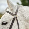 Dublin Brass Barcoo Bridle