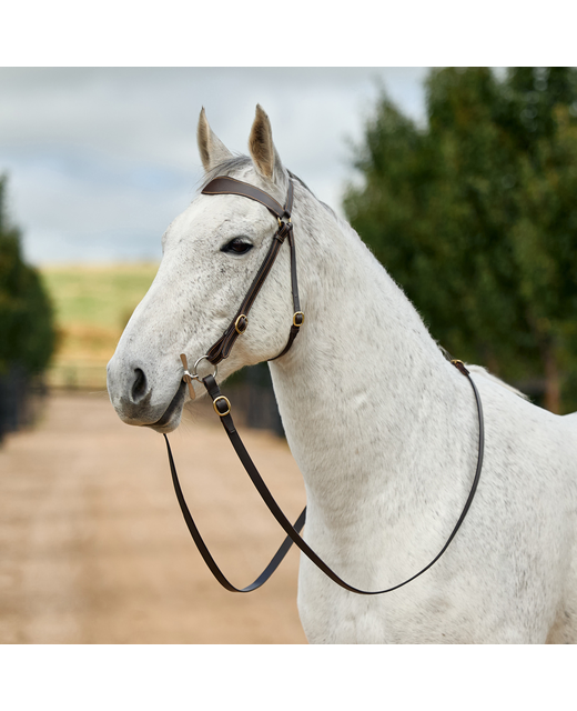 Dublin 3/4 Stitched Barcoo Bridle